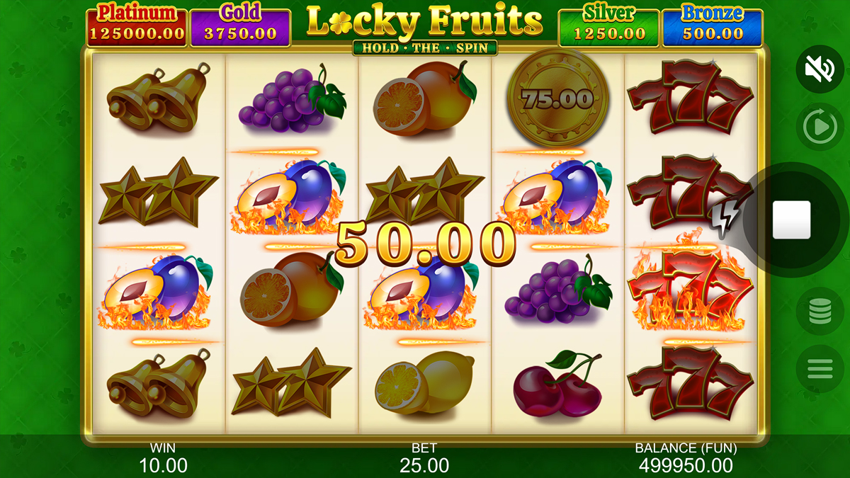  Locky Fruits: Hold the Spin!